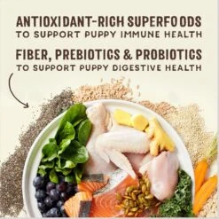 Stella & Chewy's SuperBlends Raw Blend Wholesome Grains Puppy Cage-Free Chicken & Wild Caught Salmon Recipe With Superfoods Dry Dog Food -Snuggle Paws 825926 PT4. AC SS1800 V1683565417