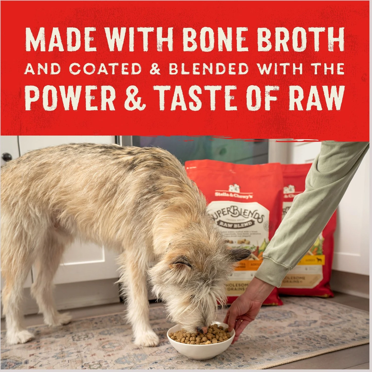 Stella & Chewy's SuperBlends Raw Blend Wholesome Grains Wild-Caught Whitefish & Salmon Recipe With Superfoods Dry Dog Food 10 Stella & Chewy's SuperBlends Raw Blend Wholesome Grains Wild-Caught Whitefish & Salmon Recipe With Superfoods Dry Dog Food - Image 8
