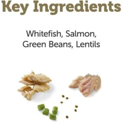 Applaws Taste Toppers Whitefish With Salmon, Green Beans & Lentils Recipe In Gravy Natural Wet Dog Food, 3-oz Pouch, Case Of 12 -Snuggle Paws 836934 PT2. AC SS1800 V1687893702