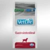 Farmina Vet Life Gastrointestinal Canine Dry Dog Food -Snuggle Paws 837830 MAIN. AC SS1800 V1703880231