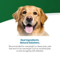 Farmina Vet Life Caloric Control Canine Dry Dog Food 13 Farmina Vet Life Caloric Control Canine Dry Dog Food -Snuggle Paws 837862 PT3. AC SS1800 V1703880228
