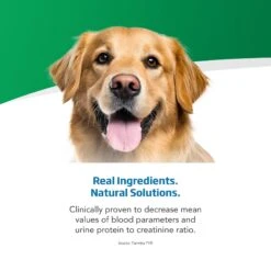 Farmina Vet Life Renal Canine Dry Dog Food -Snuggle Paws 837886 PT3. AC SS1800 V1703880594