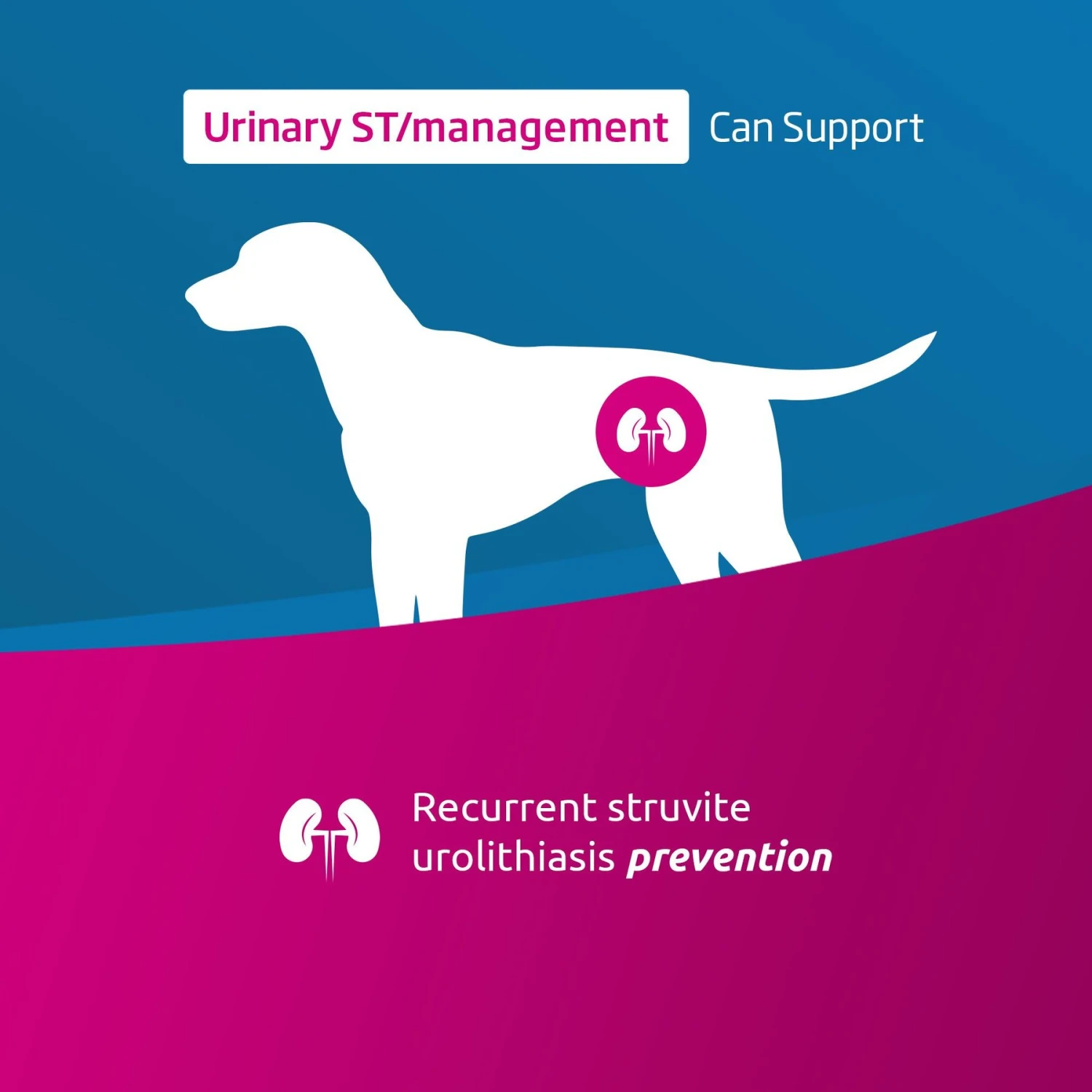 Farmina Vet Life Urinary ST Management Canine Dry Dog Food 4 Farmina Vet Life Urinary ST Management Canine Dry Dog Food - Image 2