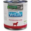 Farmina Vet Life Gastrointestinal Recipe Wet Dog Food