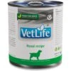 Farmina Vet Life Renal Recipe Wet Dog Food