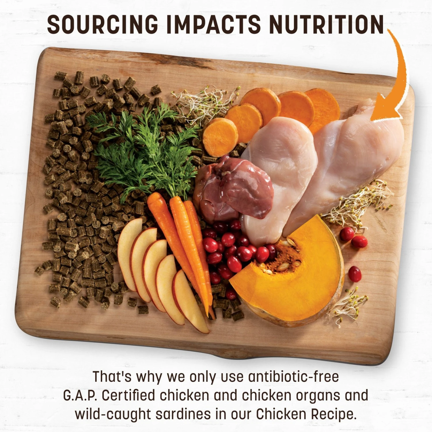 Earth Animal Wisdom Air-Dried Chicken Recipe Premium Natural Dog Food, 2-lb Bag 5 Earth Animal Wisdom Air-Dried Chicken Recipe Premium Natural Dog Food, 2-lb Bag - Image 3