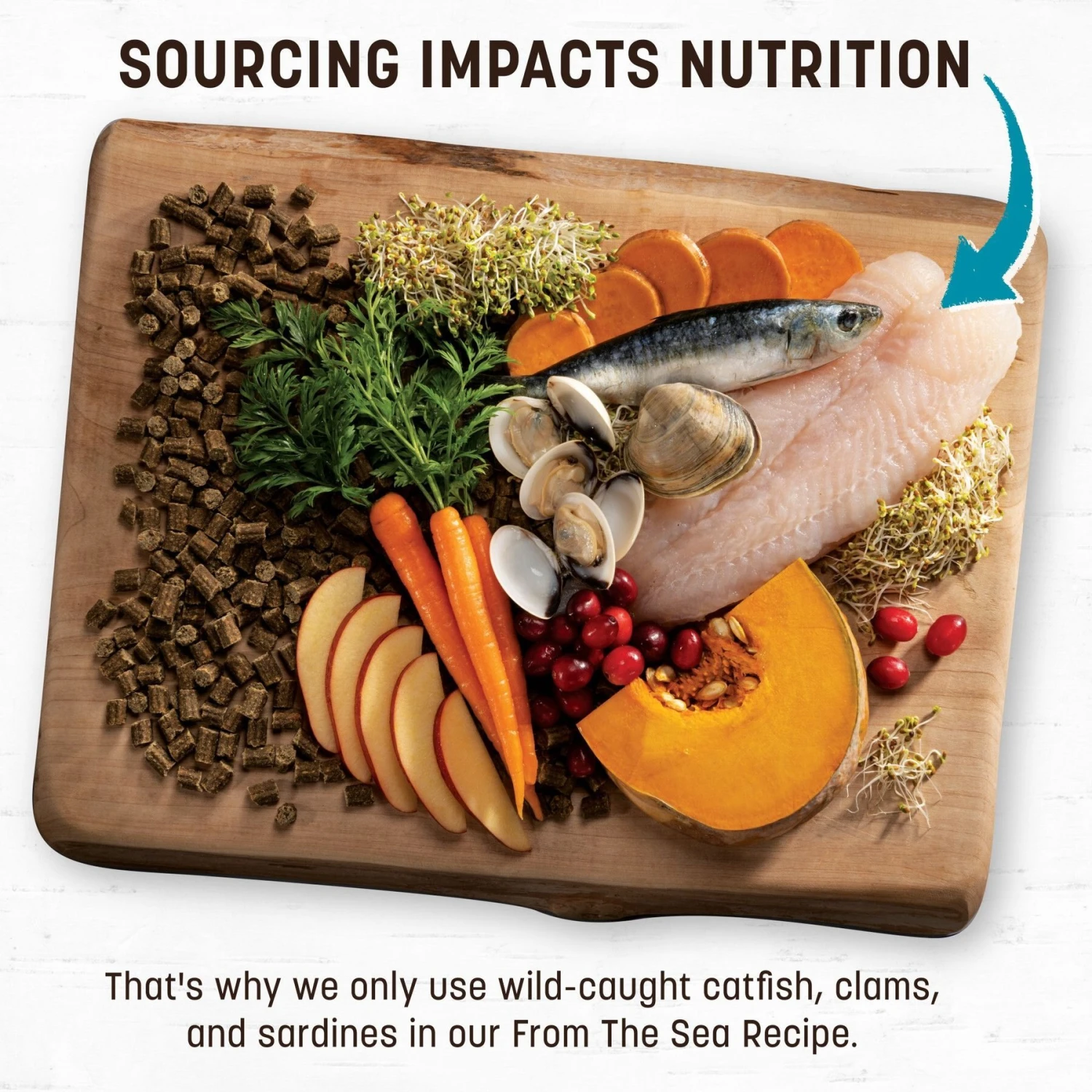 Earth Animal Wisdom Air-Dried From The Sea Recipe Premium Natural Dog Food, 2-lb Bag 5 Earth Animal Wisdom Air-Dried From The Sea Recipe Premium Natural Dog Food, 2-lb Bag - Image 3