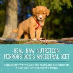 Stella & Chewy's Freeze-Dried Raw Meal Mixers Grain-Free Protein Rich Beef & Salmon Recipe Dog Food 14 Stella & Chewy's Freeze-Dried Raw Meal Mixers Grain-Free Protein Rich Beef & Salmon Recipe Dog Food -Snuggle Paws 842070 PT4. AC SS1800 V1683566318