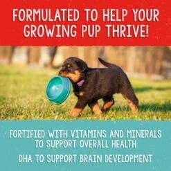 Stella & Chewy's Freeze-Dried Raw Meal Mixers Grain-Free Protein Rich Beef & Salmon Recipe Dog Food 15 Stella & Chewy's Freeze-Dried Raw Meal Mixers Grain-Free Protein Rich Beef & Salmon Recipe Dog Food -Snuggle Paws 842070 PT5. AC SS1800 V1683561628