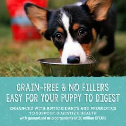 Stella & Chewy's Freeze-Dried Raw Meal Mixers Grain-Free Protein Rich Beef & Salmon Recipe Dog Food 16 Stella & Chewy's Freeze-Dried Raw Meal Mixers Grain-Free Protein Rich Beef & Salmon Recipe Dog Food -Snuggle Paws 842070 PT6. AC SS1800 V1683561688