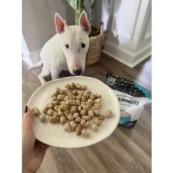 Sprankles Beef Recipe Freeze-Dried Raw Dog Food -Snuggle Paws 842854 PT4. AC SS1800 V1694787979