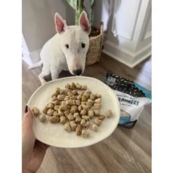 Sprankles Chicken Recipe Freeze-Dried Raw Dog Food 16 Sprankles Chicken Recipe Freeze-Dried Raw Dog Food -Snuggle Paws 842878 PT5. AC SS1800 V1694719388