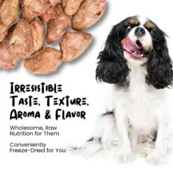 Sprankles Chicken Hearts Grain-Free Freeze-Dried Dog Treats -Snuggle Paws 842974 PT3. AC SS1800 V1683816335