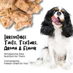 Sprankles Duck Hearts Grain-Free Freeze-Dried Cat & Dog Treat -Snuggle Paws 842990 PT3. AC SS1800 V1683816339