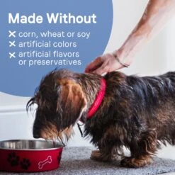 CANIDAE PURE Petite Protein Shreds Of Real Chicken Recipe In Gravy Dog Food Topper, 8.4-oz Box -Snuggle Paws 843110 PT5. AC SS1800 V1683041380