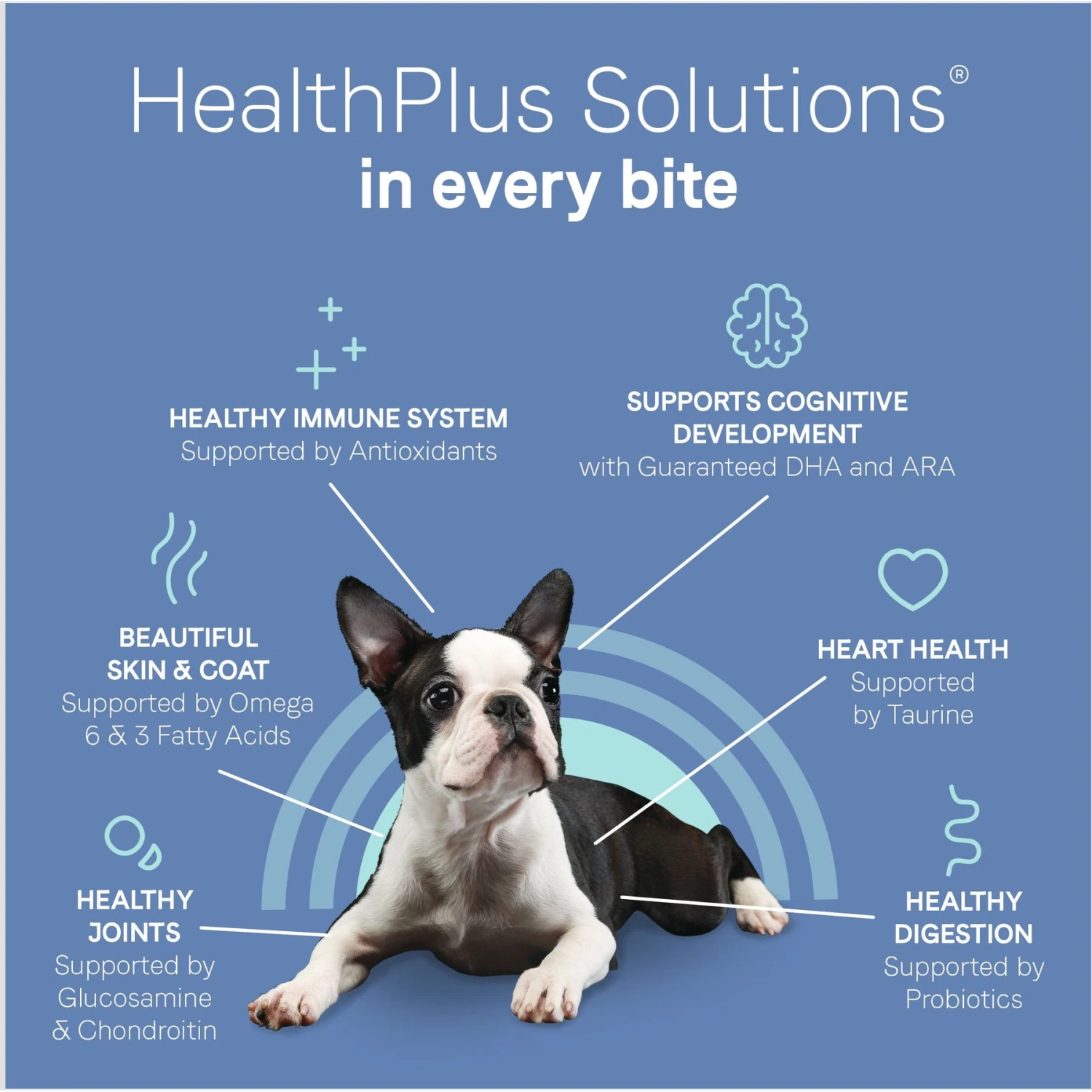 CANIDAE Pure Petite Premium Recipe Puppy Chicken & Wholesome Grains Dry Dog Food, 4-lb Bag 8 CANIDAE Pure Petite Premium Recipe Puppy Chicken & Wholesome Grains Dry Dog Food, 4-lb Bag - Image 6