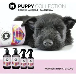 Melanie Newman Puppy Dog Cond Spray, 250-ml Bottle -Snuggle Paws 844278 PT3. AC SS1800 V1700162063