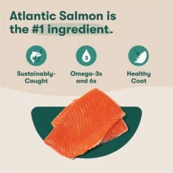 Jinx Salmon, Sweet Potato & Carrot ALS Kibble Dog Dry Food -Snuggle Paws 845262 PT2. AC SS1800 V1689709313