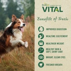 Freshpet Vital Chicken, Beef, Salmon & Egg Recipe Grain-Free Fresh Dog Food, 2 + Freshpet Vital Fresh Cuts Chicken Recipe Fresh Dog Food, 2 -Snuggle Paws 845654 PT8. AC SS1800 V1682953279