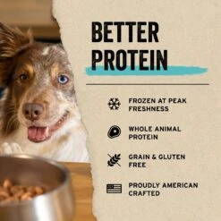 Vital Essentials Protein Mix-In Salmon Recipe Mini Nibs Grain-Free Freeze-Dried Raw Dog Food Topper -Snuggle Paws 846246 PT3. AC SS1800 V1687961451