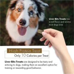 Liver Bits Freeze-Dried Raw Dog Treats, 4-oz Bag -Snuggle Paws 84726 PT3. AC SS1800 V1687360457