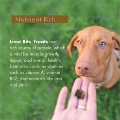 Liver Bits Freeze-Dried Raw Dog Treats, 4-oz Bag -Snuggle Paws 84726 PT6. AC SS1800 V1687360458