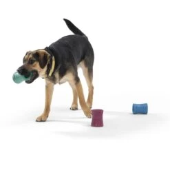 West Paw Funnl Dog Toy, Large, 4.25-in -Snuggle Paws 847974 PT6. AC SS1800 V1683905951