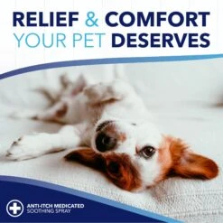 TropiClean Oxy Med Allergy Relief Wipes For Dogs & Cats -Snuggle Paws 84814 PT6. AC SS1800 V1663608498