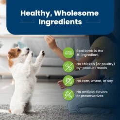 Blue Buffalo Life Protection Formula Small Breed Adult Lamb & Brown Rice Recipe Dry Dog Food -Snuggle Paws 84991 PT5. AC SS1800 V1702597410