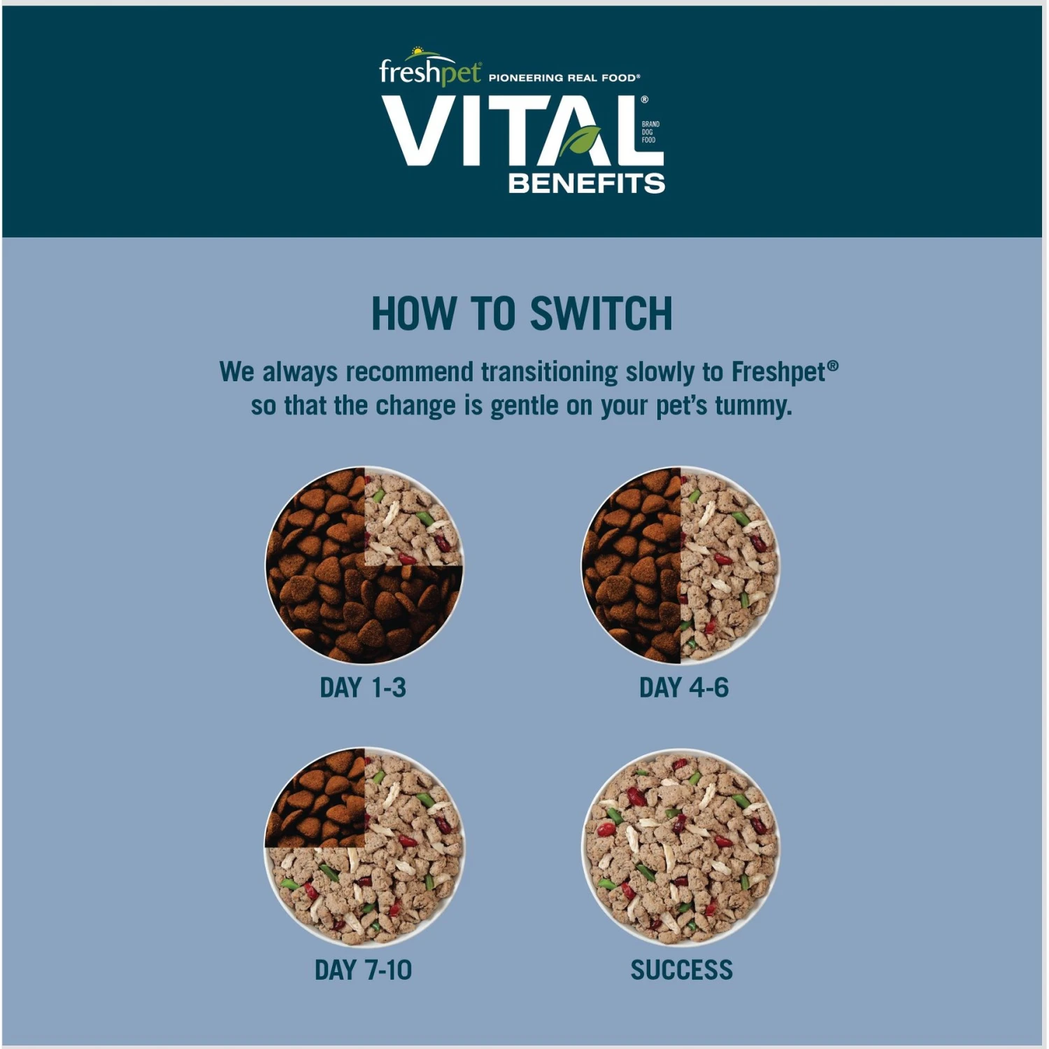 Freshpet Vital Benefits Joint Health & Mobility Fresh Dog Food 8 Freshpet Vital Benefits Joint Health & Mobility Fresh Dog Food - Image 6