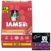 Iams Proactive Health Minichunks Small Kibble With Lamb & Rice Adult Dry Dog Food & Cesar Classic Loaf In Sauce Beef Recipe, Filet Mignon, Grilled Chicken & Porterhouse Steak Flavors Variety Pack Grain-Free Small Breed Adult Wet Dog Food Trays