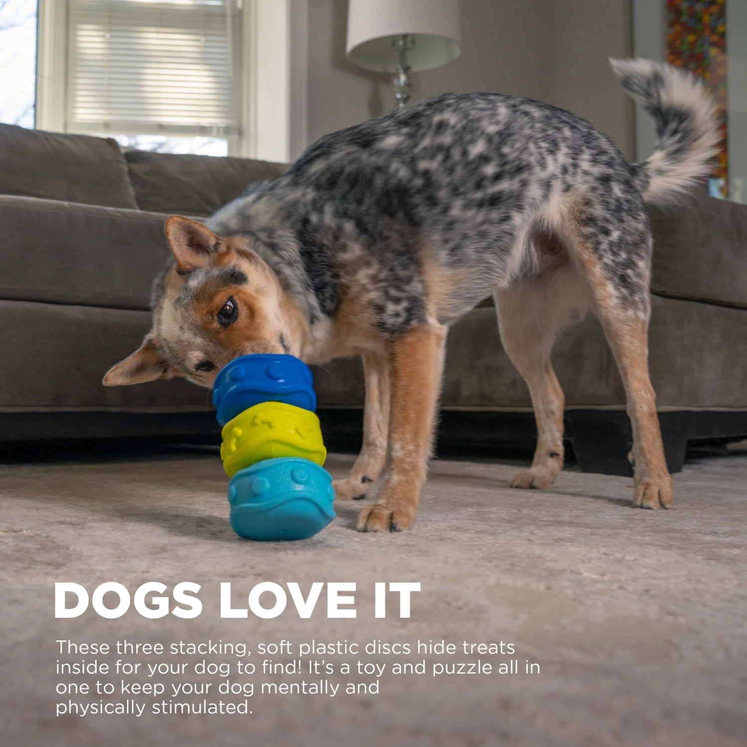 Outward Hound Treat Locking Discs Dispenser Puzzle Dog Toy, Multiple Colors 4 Outward Hound Treat Locking Discs Dispenser Puzzle Dog Toy, Multiple Colors - Image 2