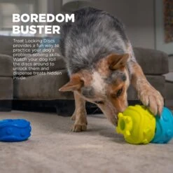 Outward Hound Treat Locking Discs Dispenser Puzzle Dog Toy, Multiple Colors 10 Outward Hound Treat Locking Discs Dispenser Puzzle Dog Toy, Multiple Colors -Snuggle Paws 855558 PT2. AC SS1800 V1686333064