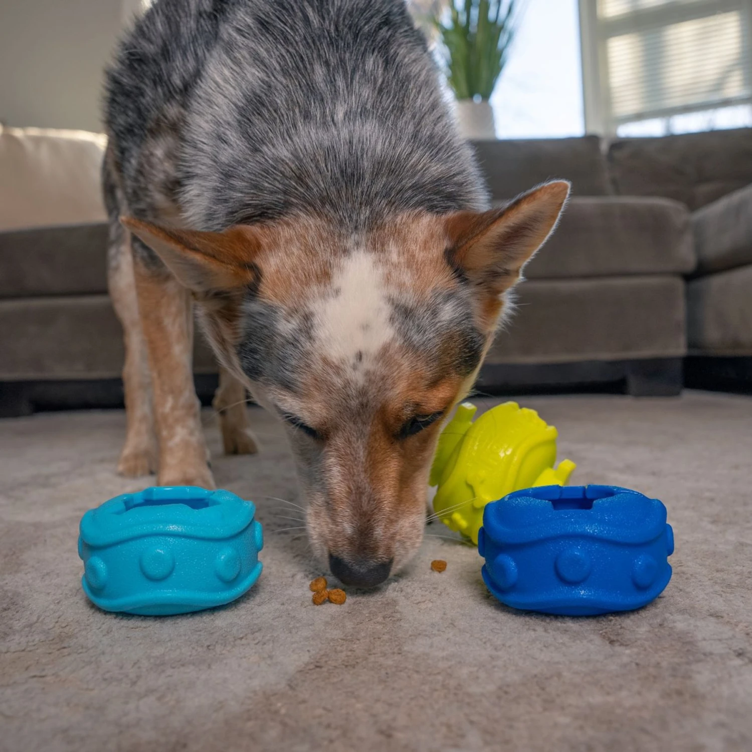 Outward Hound Treat Locking Discs Dispenser Puzzle Dog Toy, Multiple Colors 8 Outward Hound Treat Locking Discs Dispenser Puzzle Dog Toy, Multiple Colors - Image 6