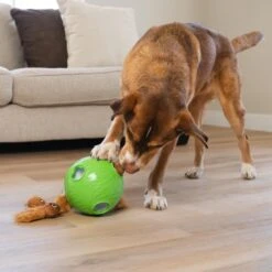 Nina Ottosson By Outward Hound Snuffle N' Treat Interactive Puzzle Ball & Treat Dispenser Dog Toy, Green -Snuggle Paws 855590 PT4. AC SS1800 V1694286045