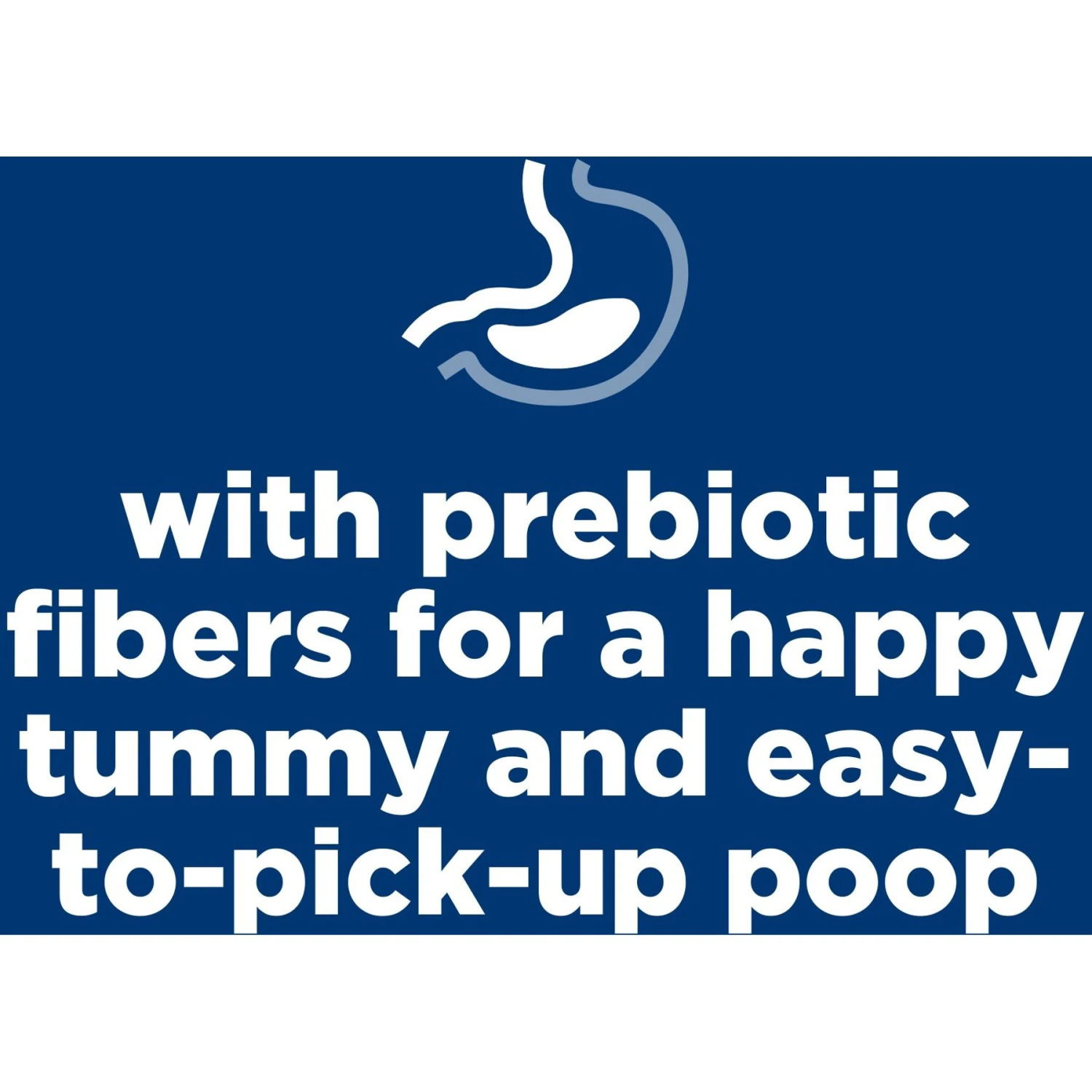 Hill's Science Diet Puppy Small & Mini Chicken Meal & Brown Rice Recipe Dry Dog Food 5 Hill's Science Diet Puppy Small & Mini Chicken Meal & Brown Rice Recipe Dry Dog Food - Image 3