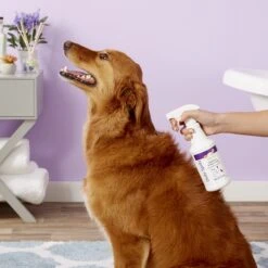 Nootie Soft Lilly Passion Daily Spritz For Dogs -Snuggle Paws 85569 PT3. AC SS1800 V1543525517