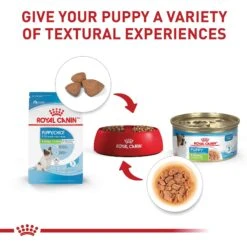 Royal Canin Size Health Nutrition X-Small Puppy Dry Dog Food -Snuggle Paws 855830 PT5. AC SS1800 V1683896949