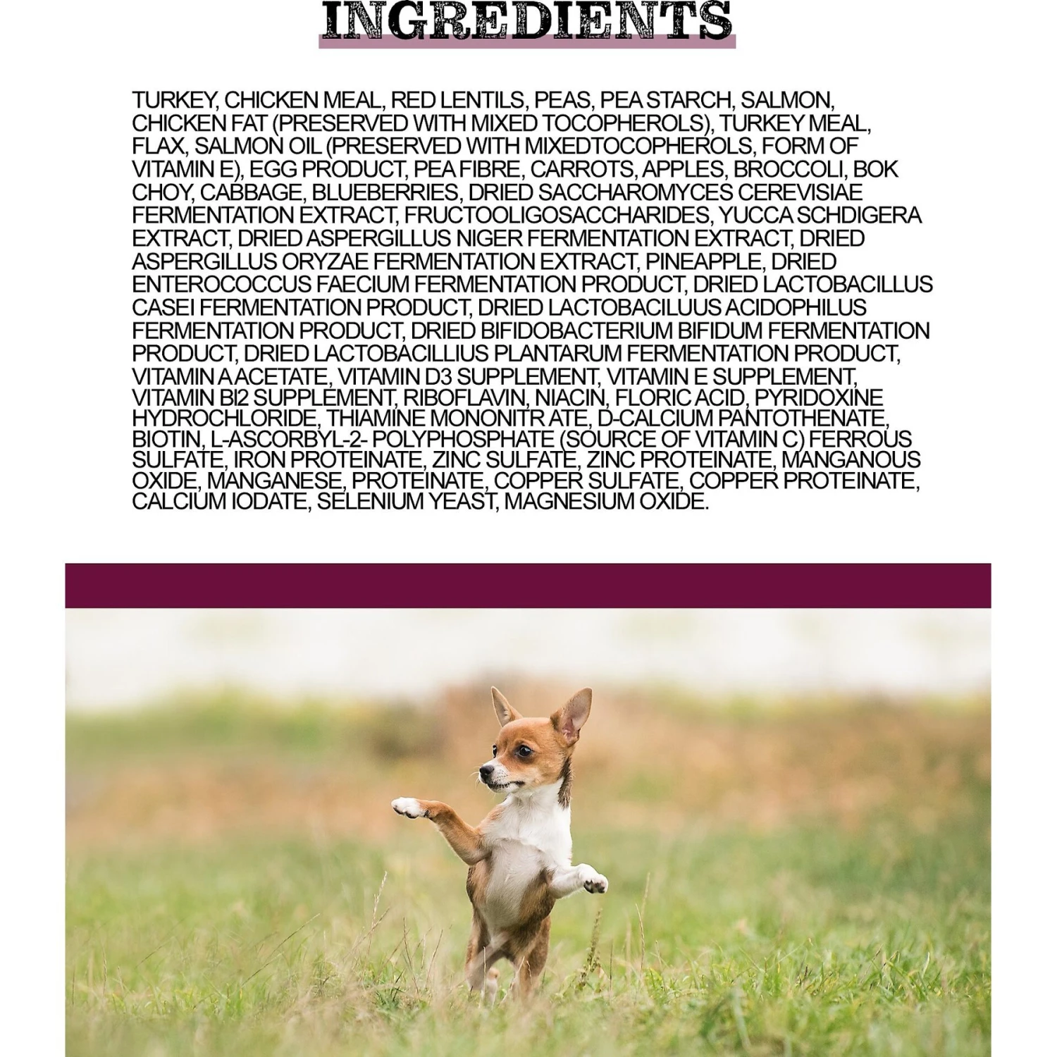 Horizon Amicus Small & Mini Breed Adult Grain-Free Dry Dog Food 4 Horizon Amicus Small & Mini Breed Adult Grain-Free Dry Dog Food - Image 2