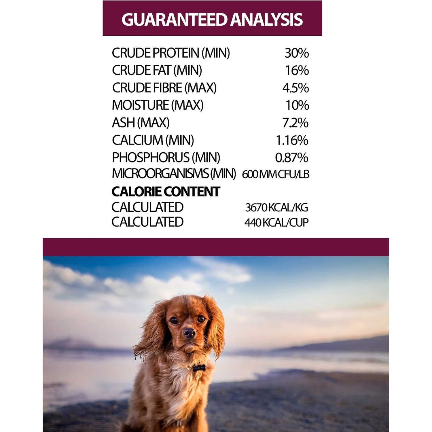 Horizon Amicus Small & Mini Breed Adult Grain-Free Dry Dog Food 5 Horizon Amicus Small & Mini Breed Adult Grain-Free Dry Dog Food - Image 3