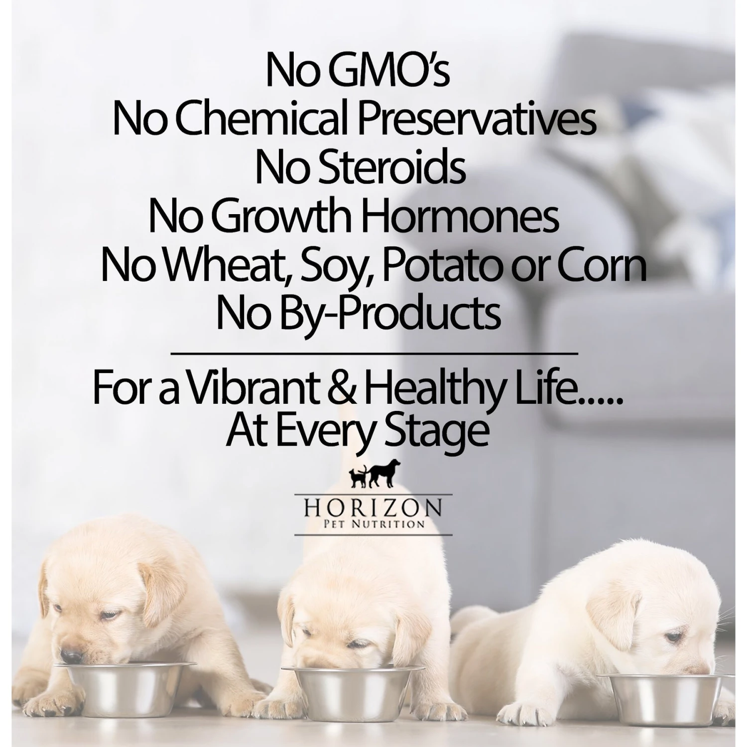 Horizon Amicus Small & Mini Breed Adult Grain-Free Dry Dog Food 7 Horizon Amicus Small & Mini Breed Adult Grain-Free Dry Dog Food - Image 5