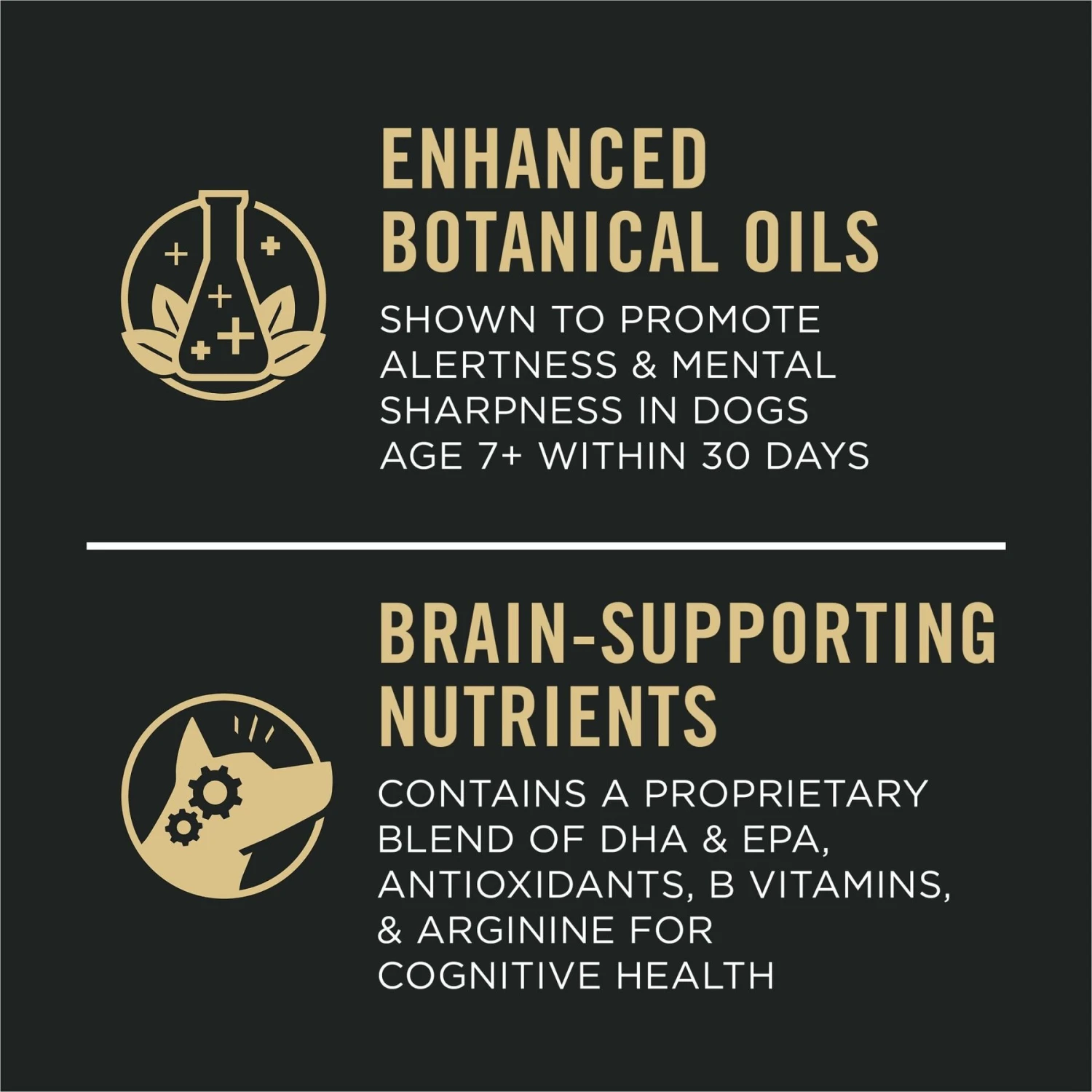 Purina Pro Plan Bright Mind Adult 7+ Chicken & Rice Formula Dry Dog Food 5 Purina Pro Plan Bright Mind Adult 7+ Chicken & Rice Formula Dry Dog Food - Image 3