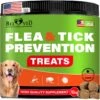 Beloved Pets Flea & Tick Prevention Chewable Pills For Dogs, 10-oz Pack -Snuggle Paws 862558 MAIN. AC SS1800 V1684882239