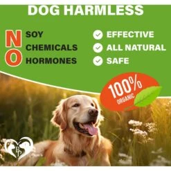 Beloved Pets Flea & Tick Prevention Chewable Pills For Dogs, 10-oz Pack -Snuggle Paws 862558 PT5. AC SS1800 V1685472690