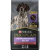 Purina Pro Plan Sport Performance All Life Stages High-Protein 30/20 Salmon & Rice Formula Dry Dog Food -Snuggle Paws 86279 MAIN. AC SS1800 V1649107635