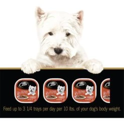 Cesar Classic Loaf In Sauce Oven Roasted Chicken Flavor Dog Food Trays 19 Cesar Classic Loaf In Sauce Oven Roasted Chicken Flavor Dog Food Trays -Snuggle Paws 86446 PT8. AC SS1800 V1621518486