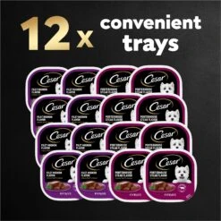 Cesar Classic Loaf In Sauce Filet Mignon & Porterhouse Steak Flavors Variety Pack Grain-Free Small Breed Adult Wet Dog Food Trays -Snuggle Paws 86450 PT8. AC SS1800 V1695746025
