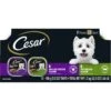 Cesar Classic Loaf In Sauce Top Sirloin & Grilled Chicken Flavors Variety Pack Grain-Free Small Breed Adult Wet Dog Food Trays -Snuggle Paws 86452 MAIN. AC SS1800 V1695650021