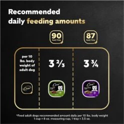 Cesar Classic Loaf In Sauce Top Sirloin & Grilled Chicken Flavors Variety Pack Grain-Free Small Breed Adult Wet Dog Food Trays 17 Cesar Classic Loaf In Sauce Top Sirloin & Grilled Chicken Flavors Variety Pack Grain-Free Small Breed Adult Wet Dog Food Trays -Snuggle Paws 86452 PT6. AC SS1800 V1695752284