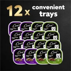 Cesar Classic Loaf In Sauce Top Sirloin & Grilled Chicken Flavors Variety Pack Grain-Free Small Breed Adult Wet Dog Food Trays 19 Cesar Classic Loaf In Sauce Top Sirloin & Grilled Chicken Flavors Variety Pack Grain-Free Small Breed Adult Wet Dog Food Trays -Snuggle Paws 86452 PT8. AC SS1800 V1695676401